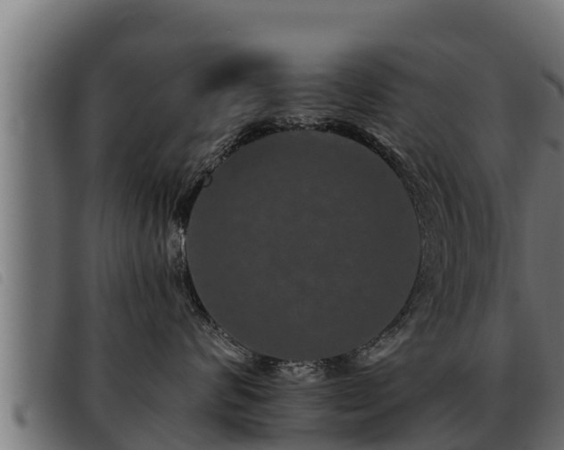 X0000093490624200710121508