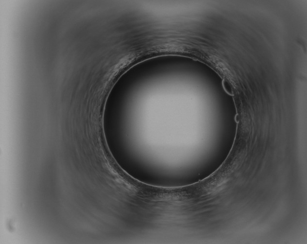 X0000093490625200710121507