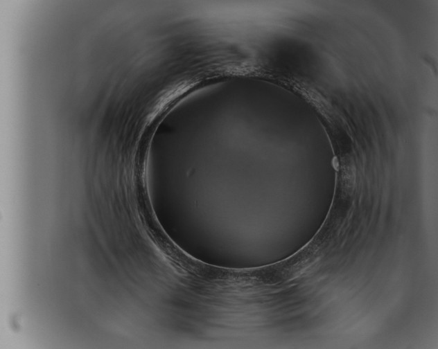 X0000093490626200710121507