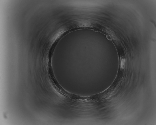 X0000093490627200710121507