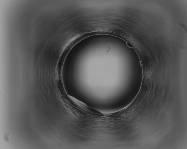 X0000093490628200710121507