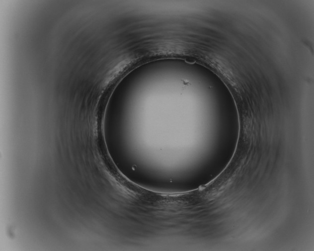 X0000093490629200710121507