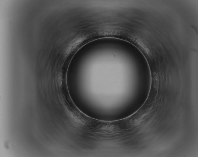 X0000093490631200710121507