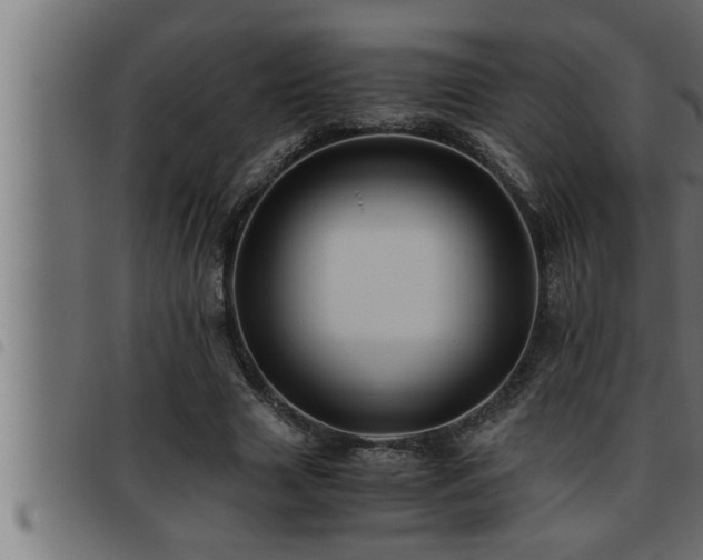 X0000093490633200710121507