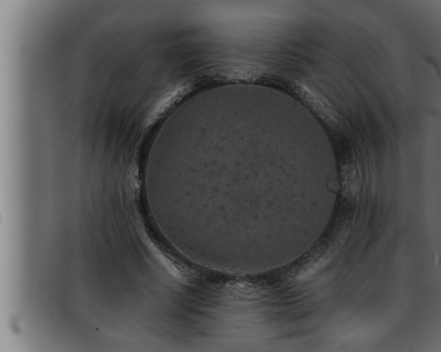 X0000093490634200710121507