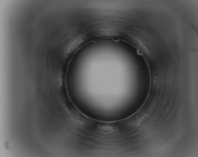 X0000093490635200710121507