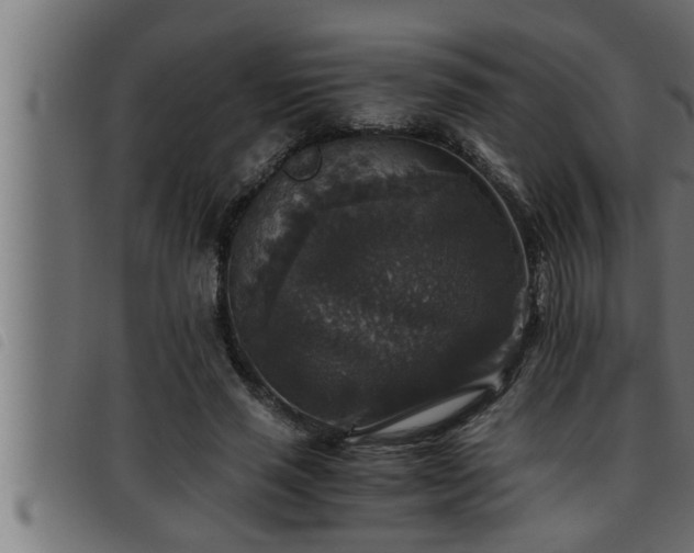 X0000093490637200710121507