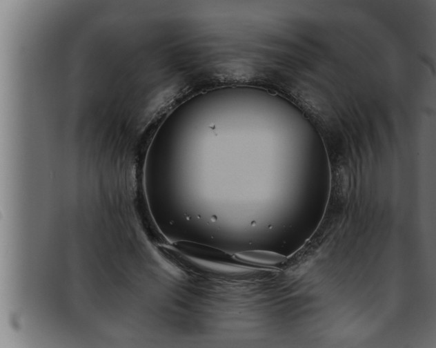 X0000093490638200710121507