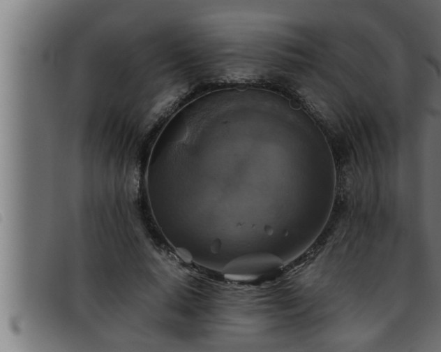X0000093490640200710121507