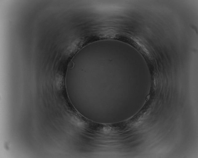X0000093490641200710121507