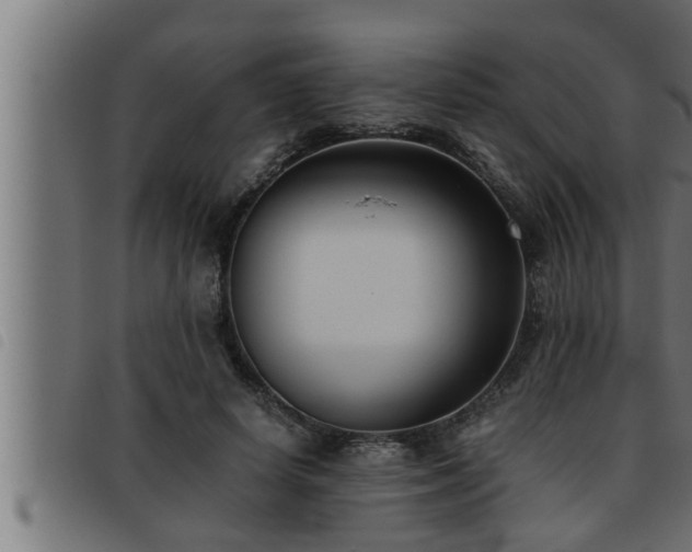 X0000093490642200710121507