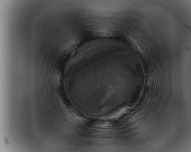 X0000093490643200710121507