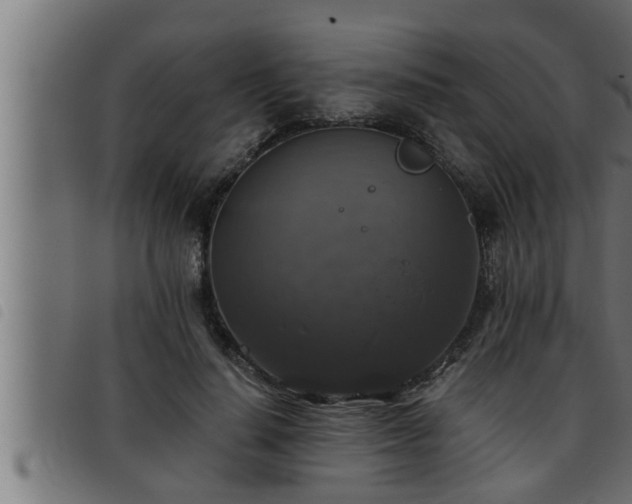 X0000093490644200710121507