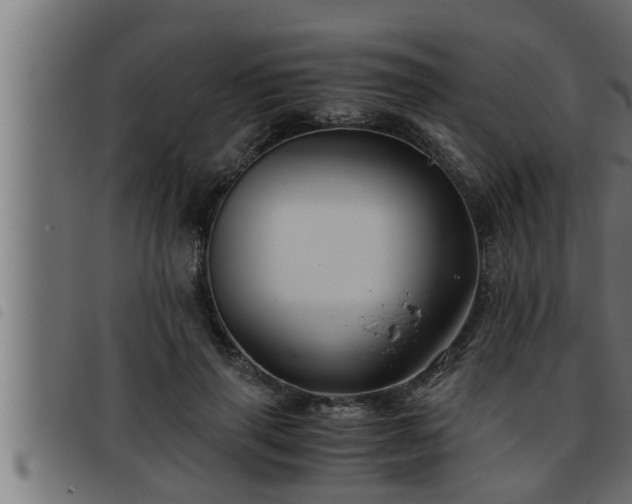 X0000093490645200710121507