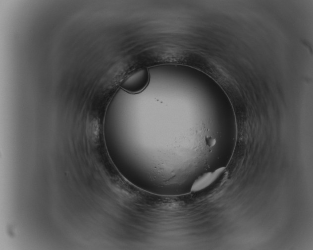 X0000093490646200710121507