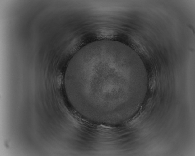 X0000093490647200710121507