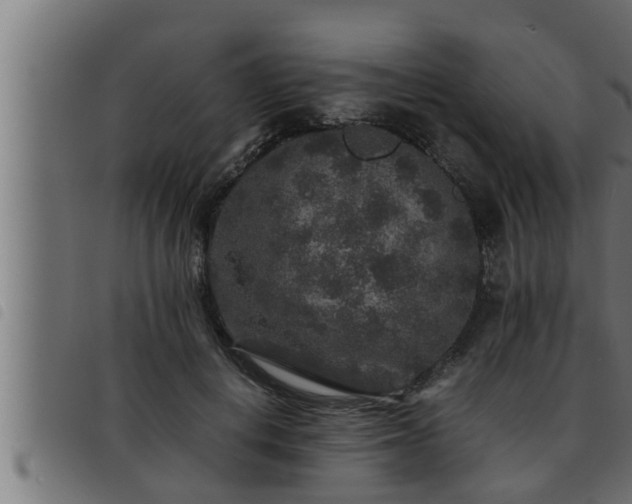 X0000093490648200710121507