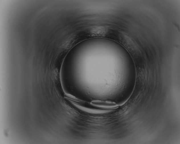 X0000093490649200710121507