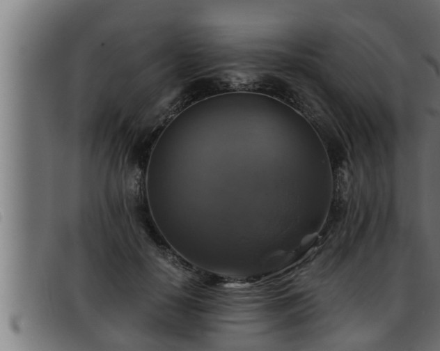 X0000093490650200710121507