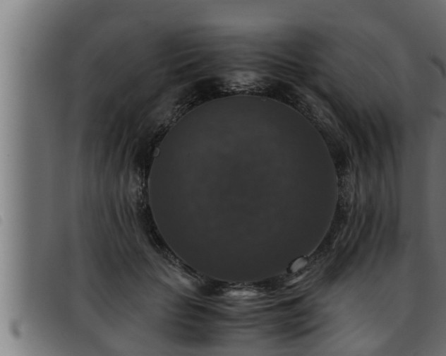 X0000093490653200710121507