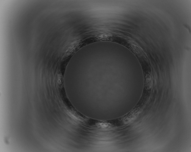 X0000093490654200710121508