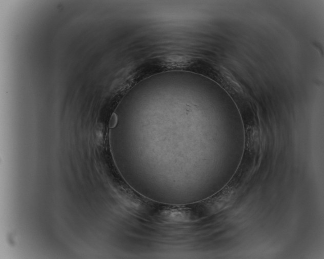 X0000093490655200710121508