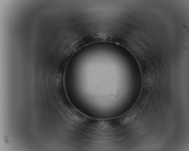 X0000093490656200710121508