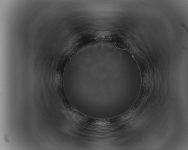 X0000093490659200710121508