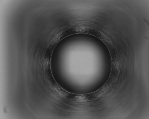 X0000093490660200710121508