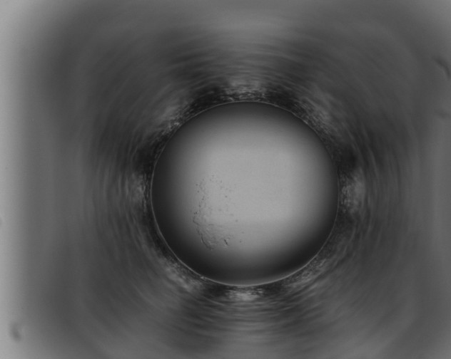 X0000093490662200710121508