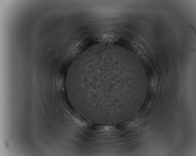 X0000093490663200710121508