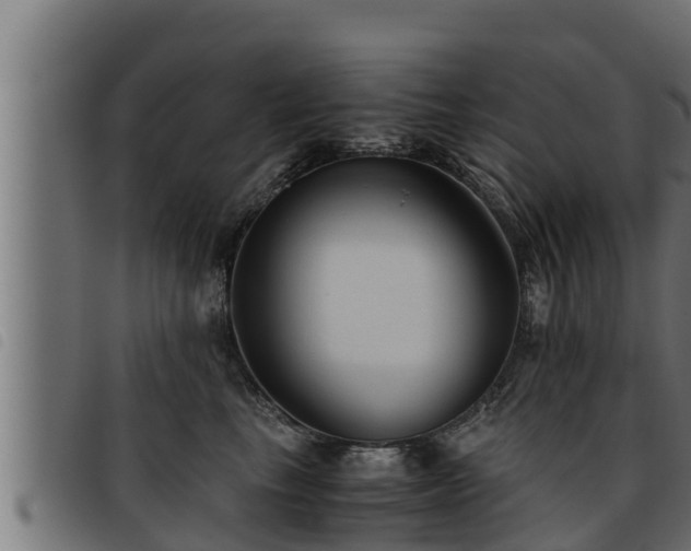 X0000093490665200710121508
