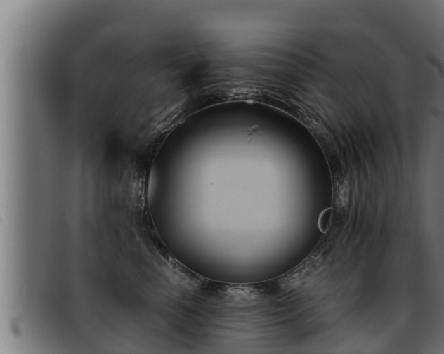X0000093490666200710121508