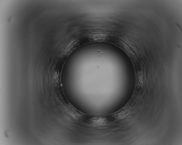 X0000093490667200710121508