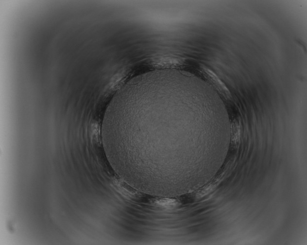 X0000093490669200710121508