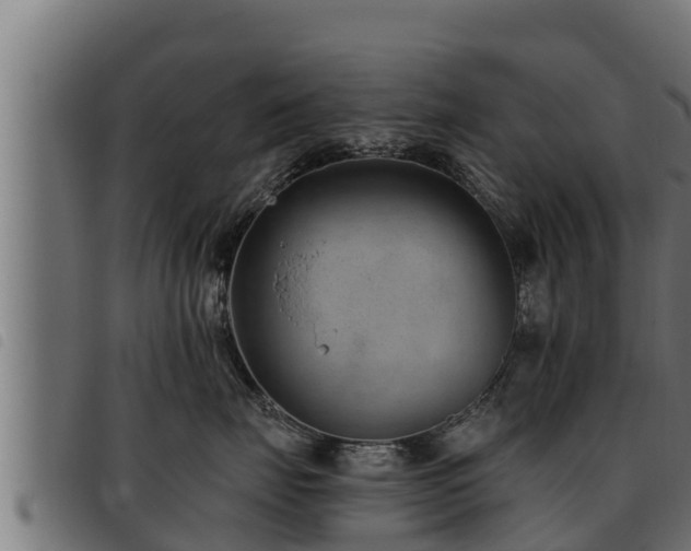 X0000093490671200710121508