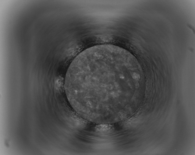 X0000093490672200710121508
