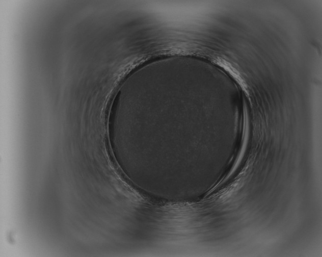 X0000093490673200710121507