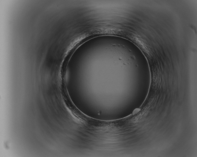 X0000093490674200710121507
