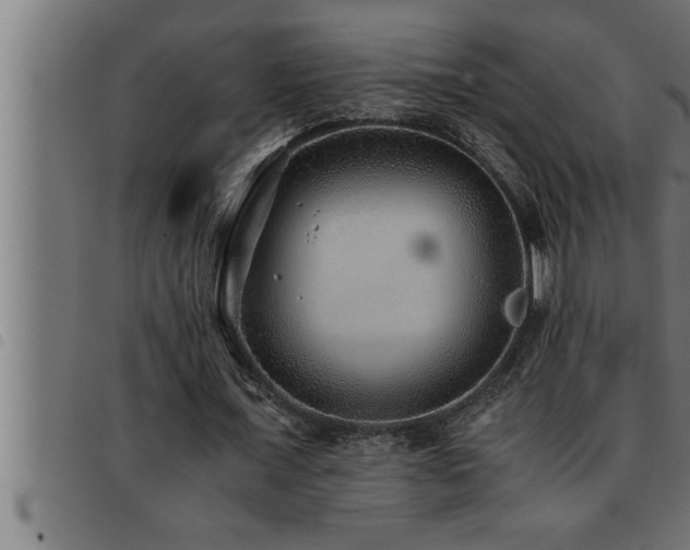 X0000093490675200710121507