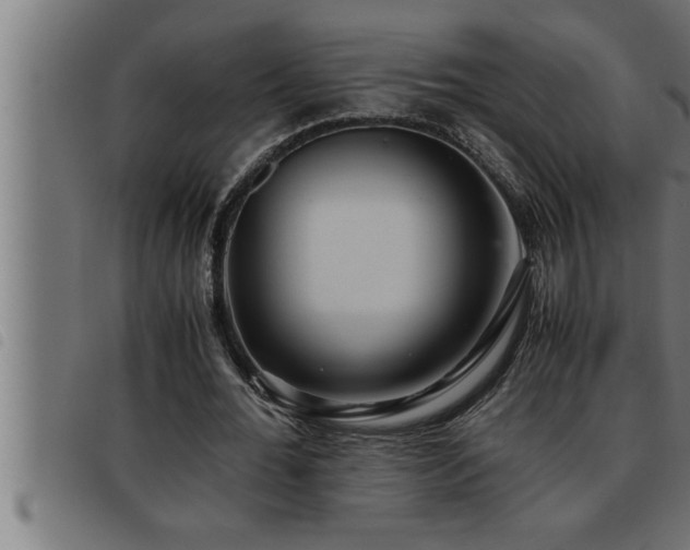 X0000093490676200710121507