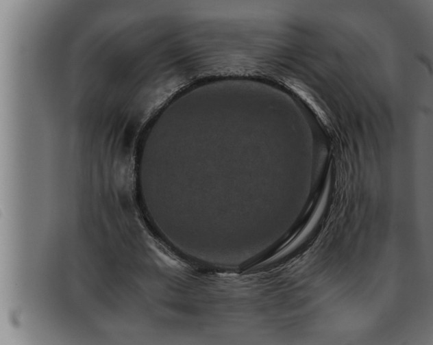 X0000093490677200710121507