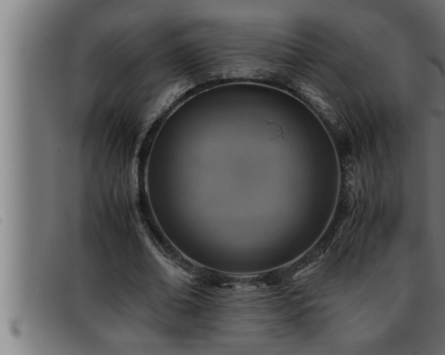 X0000093490678200710121507