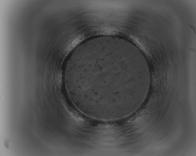 X0000093490679200710121507