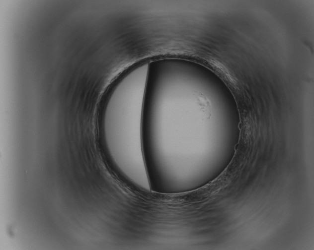 X0000093490680200710121507