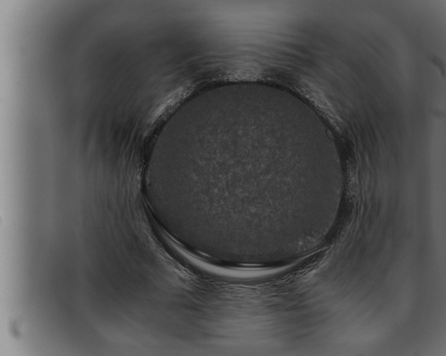 X0000093490681200710121507