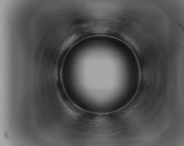 X0000093490682200710121507