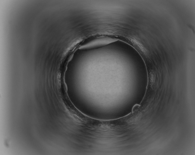 X0000093490684200710121507
