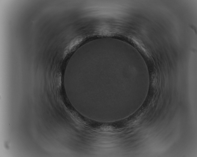 X0000093490685200710121507