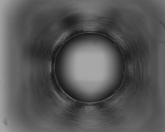 X0000093490686200710121507